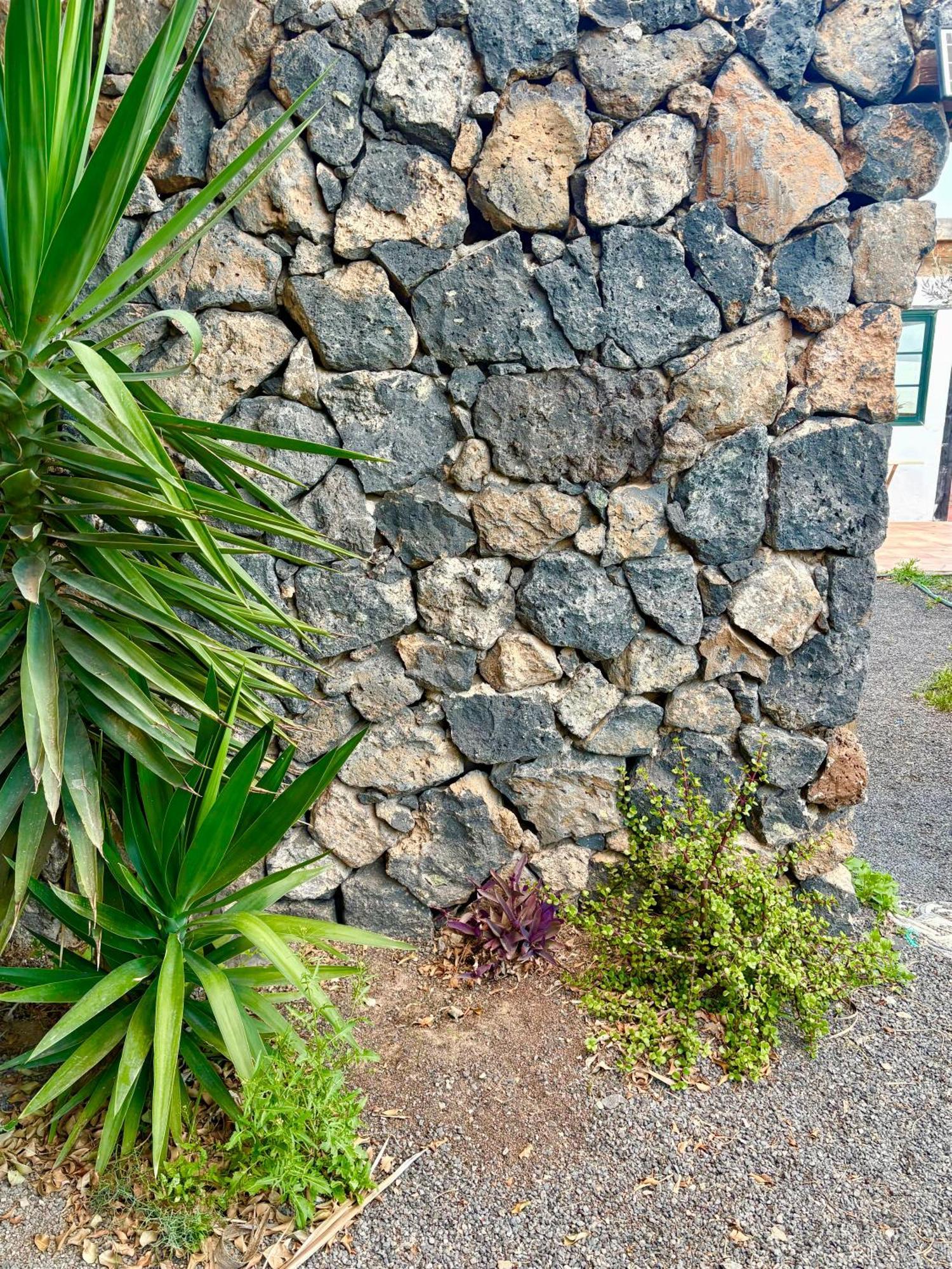 Casa Munique Villa Teguise  Luaran gambar